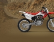 2015 Honda CRF230F (1)