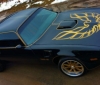 A beautiful 1977 Pontiac Trans Am Bandit is up for sale (2)