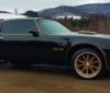 A beautiful 1977 Pontiac Trans Am Bandit is up for sale (3)
