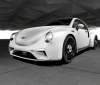 Alpera TULPAR based on the Volkswagen Beetle (3).jpg