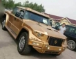 Dartz Kombat Gold Russian China Edition (1)