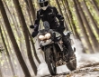 EICMA 2014 Triumph Tiger 800 XC & XCx (12)