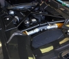 Lamborghini Aventador Roadster 50th Anniversary for sale (12)