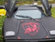 Lamborghini Countach replica (1)