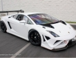 Lamborghini Gallardo Super Trofeo racecar for sale (1)