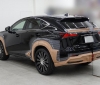 Lexus NX by Wald International (4)