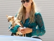 Paris Hilton and her McLaren 650S Spider