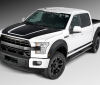 Roush Ford F-150 (1)