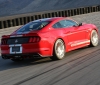 Shelby Mustang GT 2015 (3)