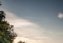 Ssangyong Musso 2017 Ssangyong Musso 2017