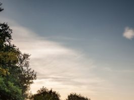 Ssangyong Musso 2017 Ssangyong Musso 2017