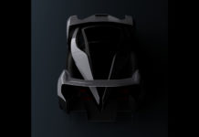 Vanda Electrics teases the Dendrobium Vanda Electrics teases the Dendrobium