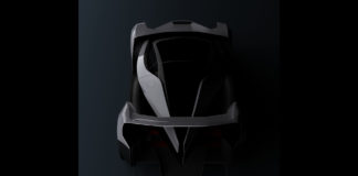Vanda Electrics teases the Dendrobium Vanda Electrics teases the Dendrobium