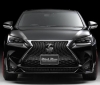 Lexus NX by Wald International (2).jpg