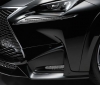 Lexus NX by Wald International (4).jpg