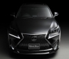 Lexus NX by Wald International (5).jpg