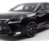 Lexus NX by Wald International (7).jpg