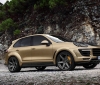 Porsche Cayenne Turbo by Topcar (2)
