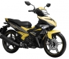 Yamaha Exciter 150 (2)
